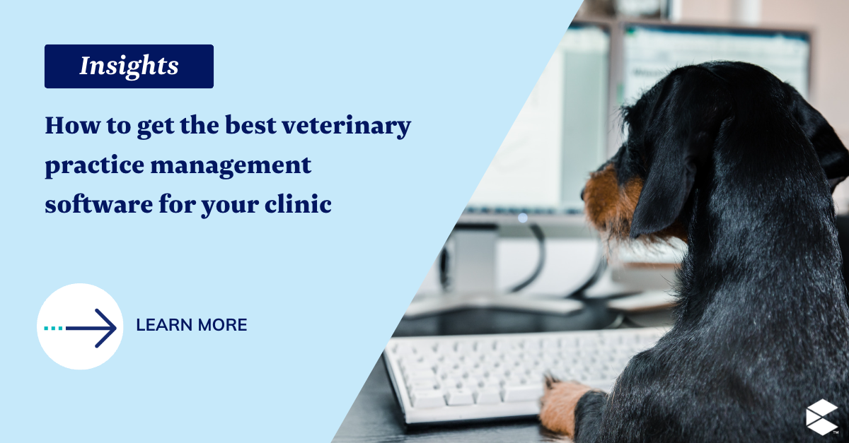 How to get the best veterinary practice management software for your ...