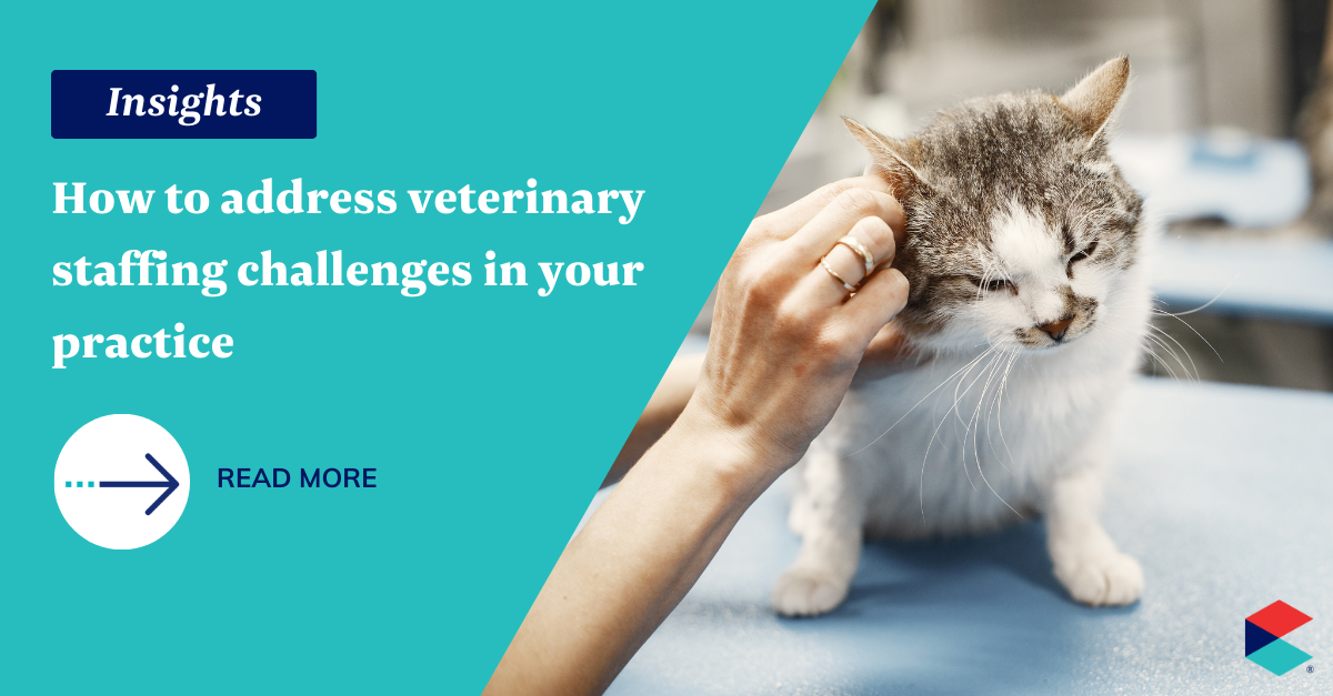 How to Address Vet Shortage Challenges in Your Practice