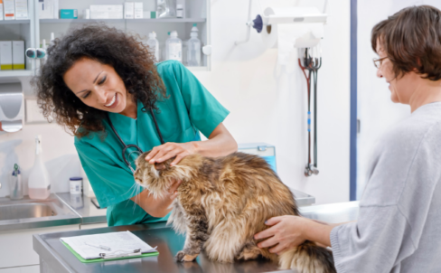 Launching Your First Veterinary Practice: A Comprehensive Guide for Start-Ups