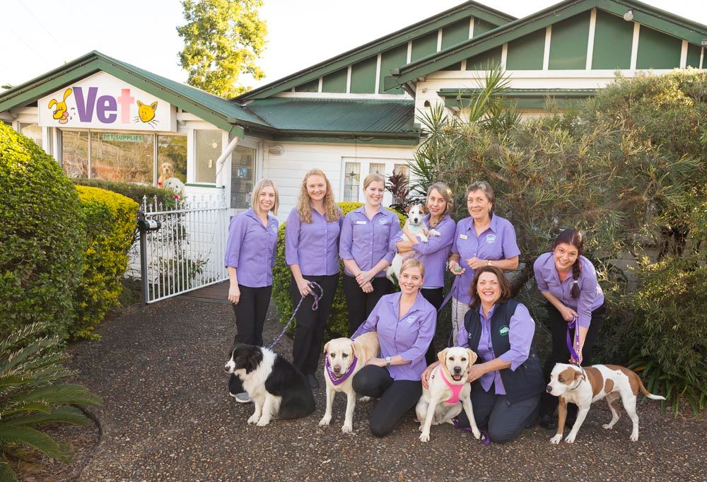 Indooroopilly Vet Clinic saves 16 hours per week with Covetrus Ascend