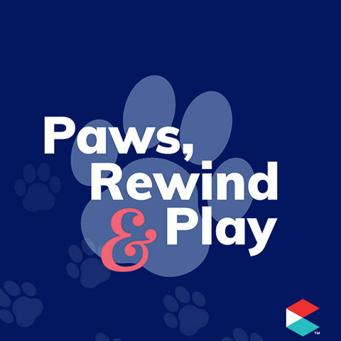 paws,rewind,play