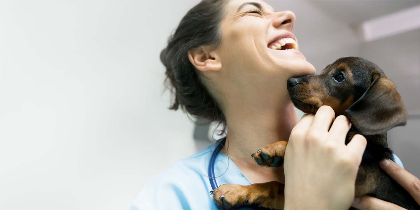 Companion animal veterinary prescription management