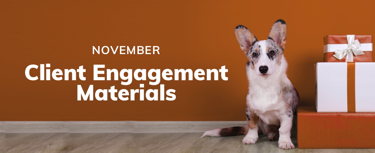 November Client Engagement Preview – Companion