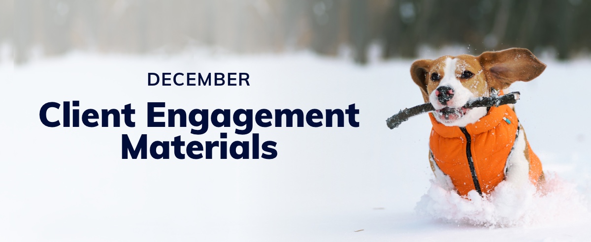 December Client Engagement Preview – Companion