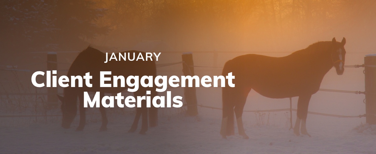 January Client Engagement Preview – Equine