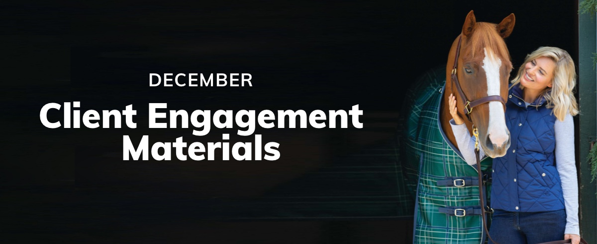 December Client Engagement Preview – Equine