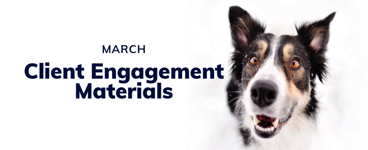 March Client Engagement Preview – Companion