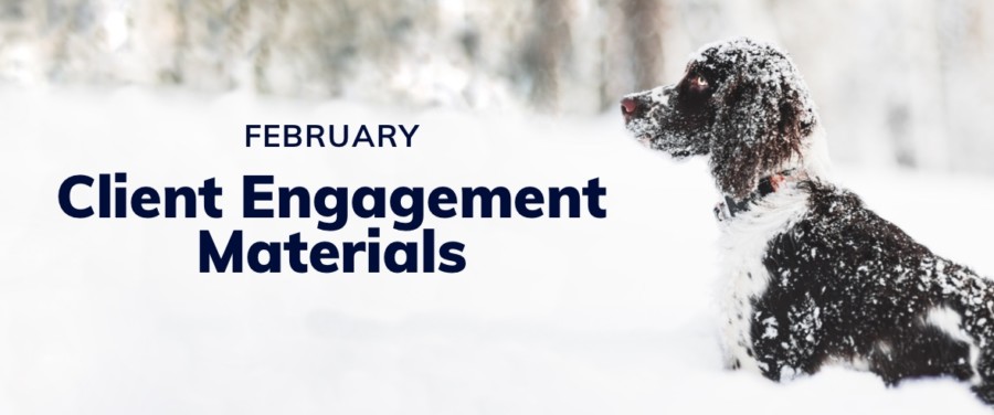 February Client Engagement Post Header - Dog in snow