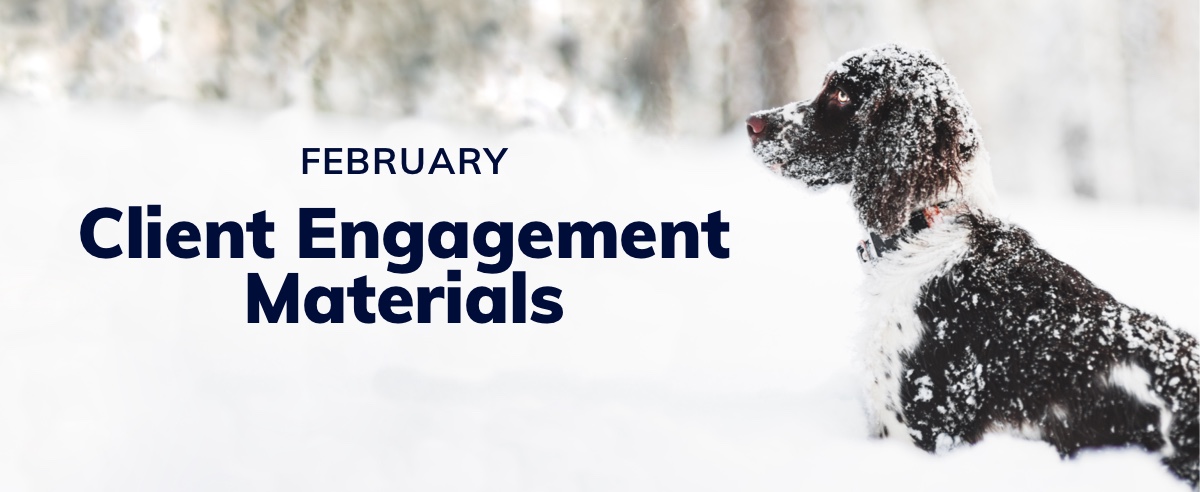 February Client Engagement Preview – Companion