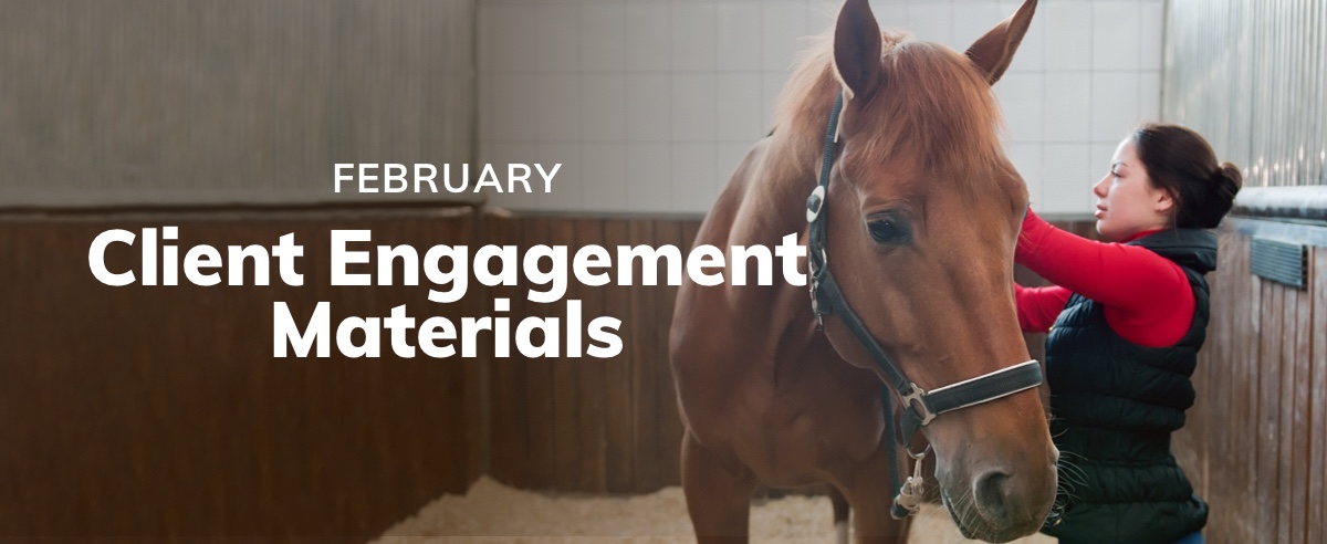 February Client Engagement Preview – Equine