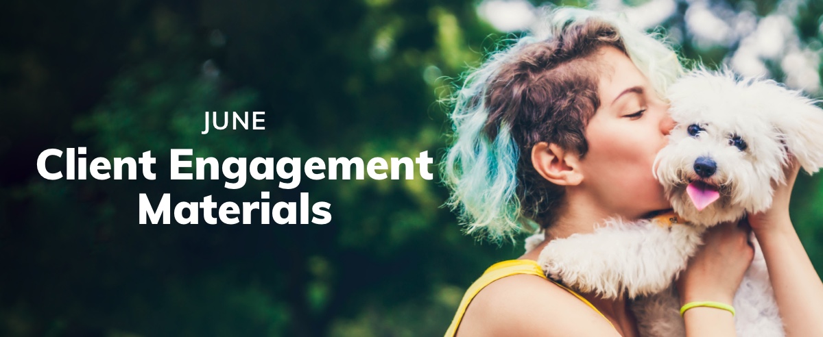 June Client Engagement Preview – Companion