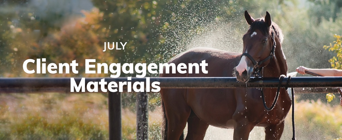July Client Engagement Preview – Equine