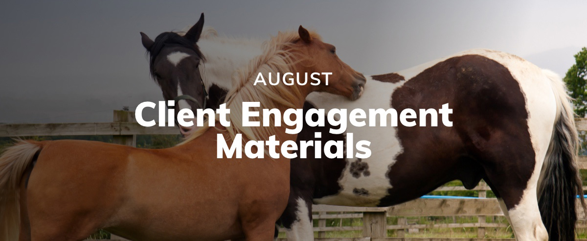 August Client Engagement Preview – Equine