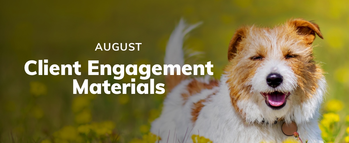 August Client Engagement Preview – Companion