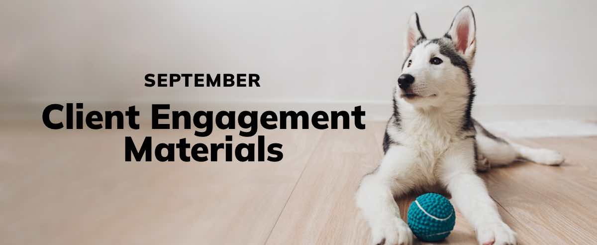 September Client Engagement Preview – Companion
