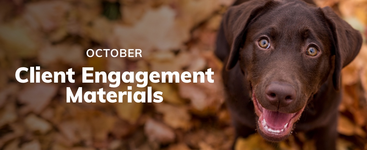 October Client Engagement Preview – Companion