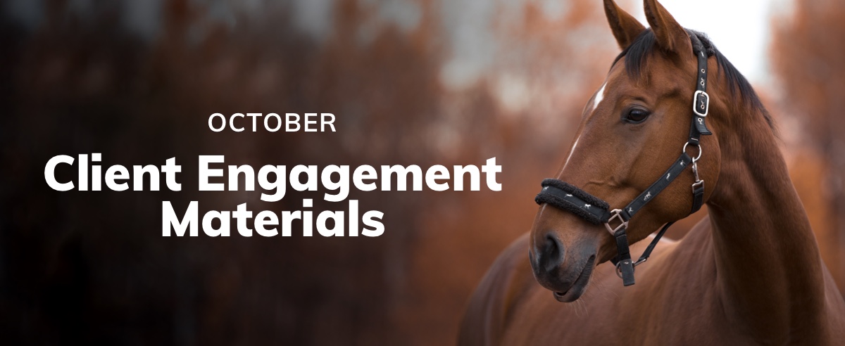 October Client Engagement Preview – Equine