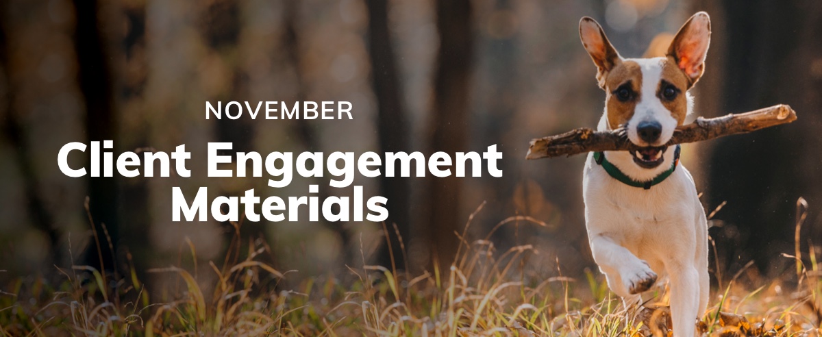 November Client Engagement Preview – Companion