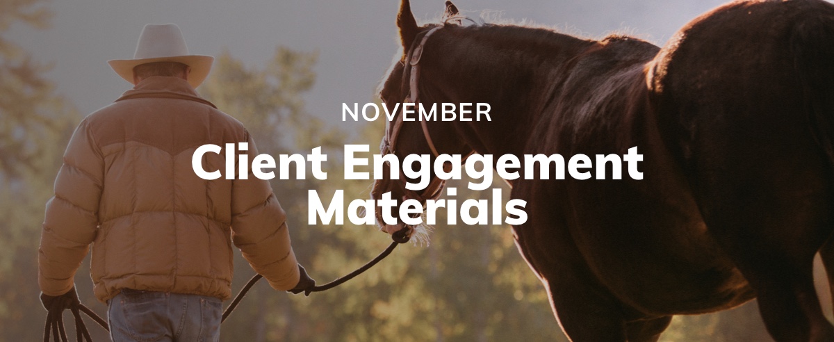 November Client Engagement Preview – Equine