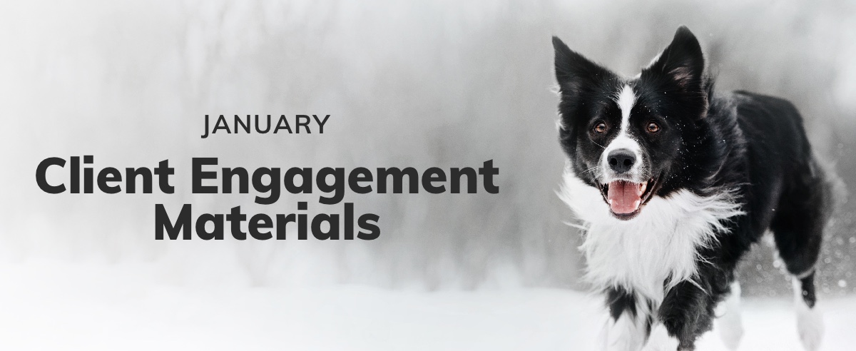 January Client Engagement Preview – Companion