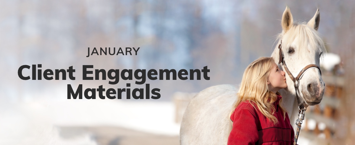 January Client Engagement Preview – Equine