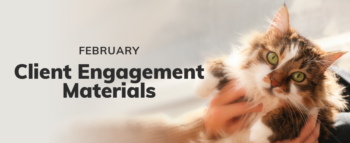 February Client Engagement Preview – Companion