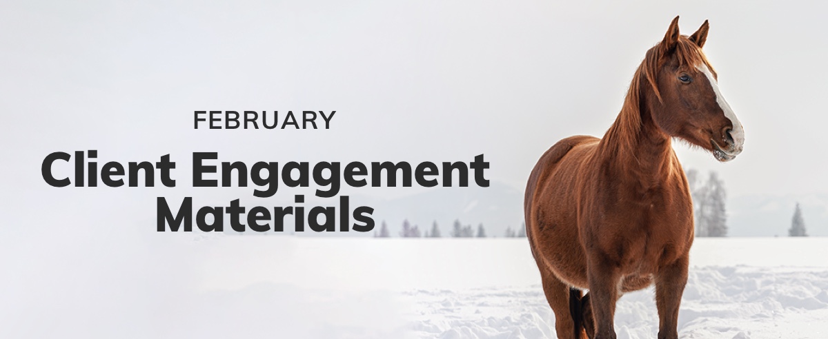 February Client Engagement Preview – Equine