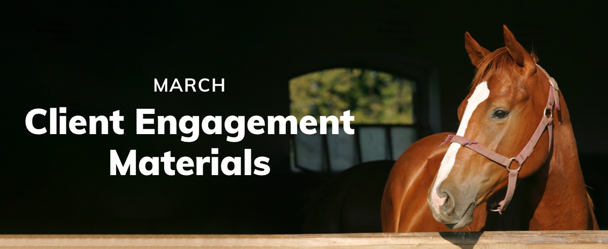 March Client Engagement Preview – Equine