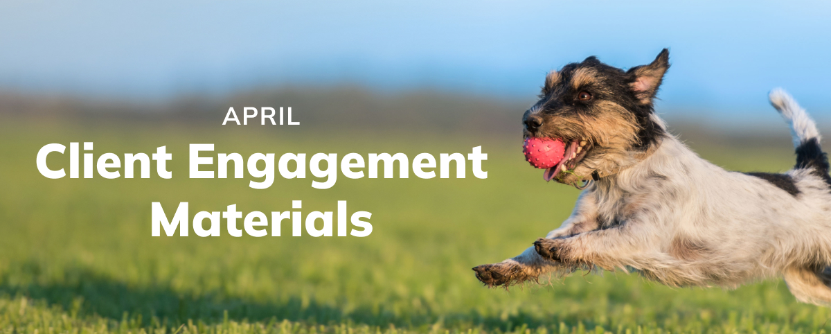 April Client Engagement Preview – Companion