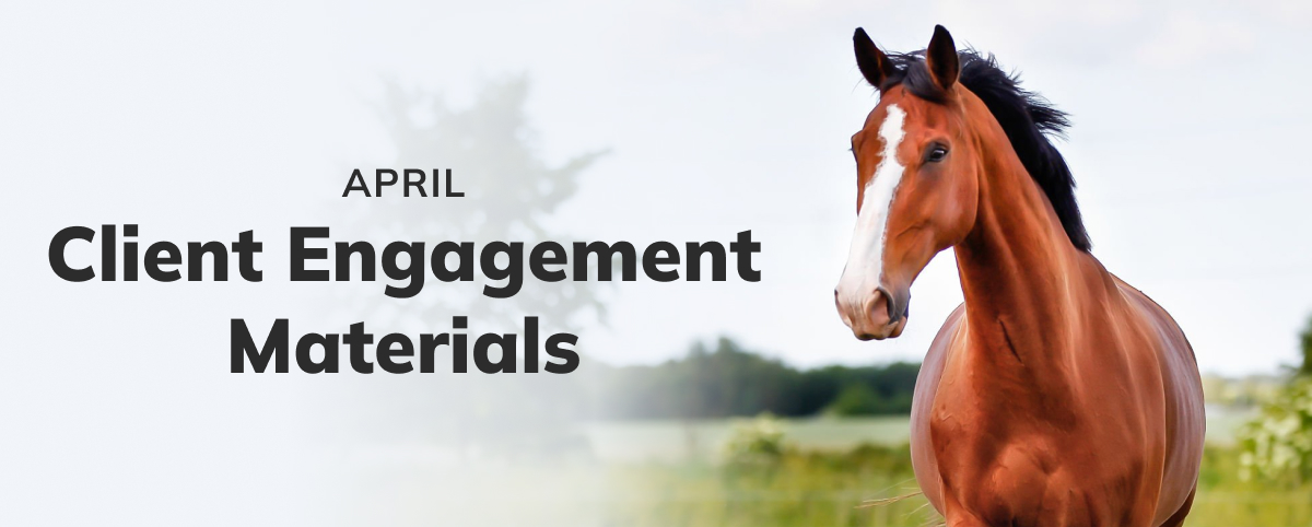 April Client Engagement Preview – Equine