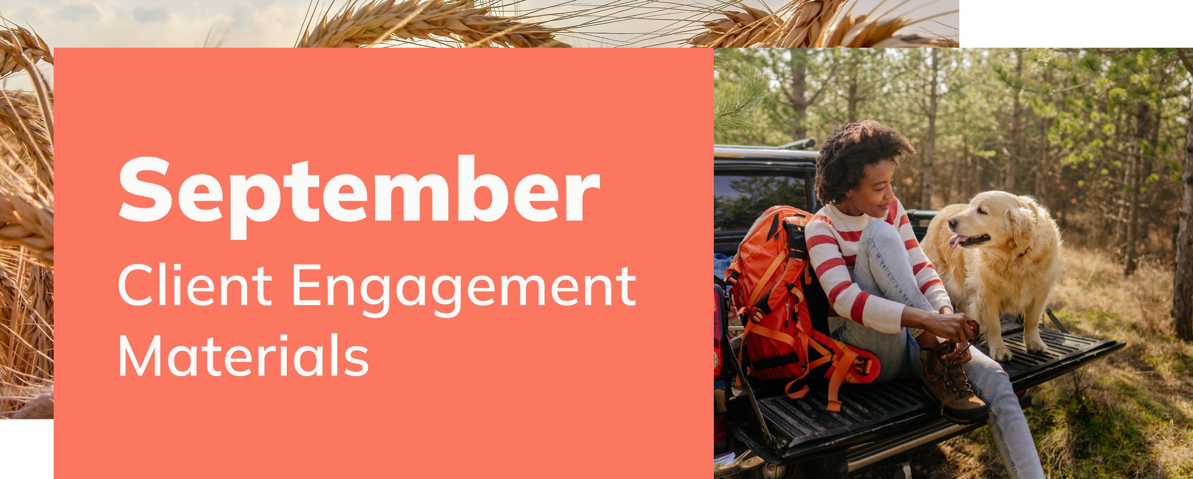 September Client Engagement Preview – Companion