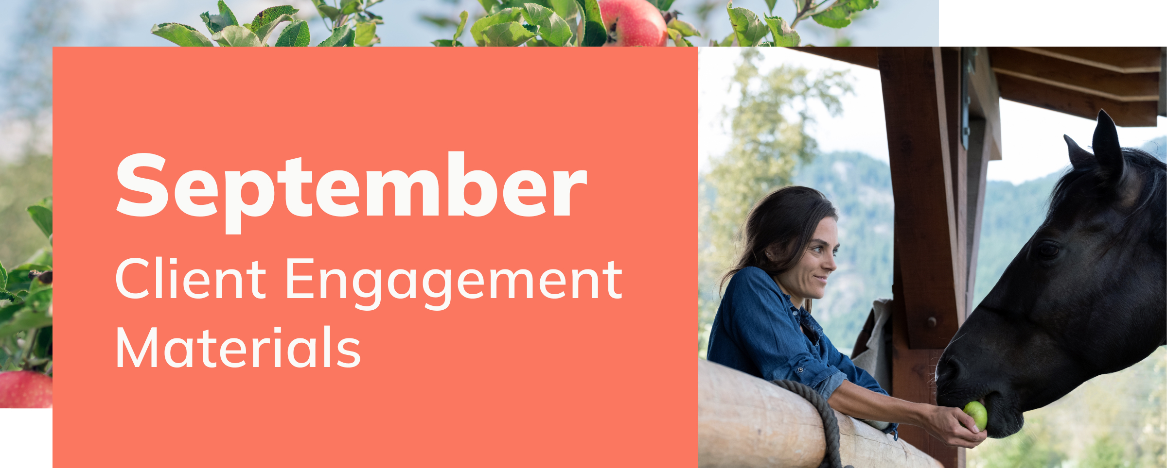 September Client Engagement Preview – Equine
