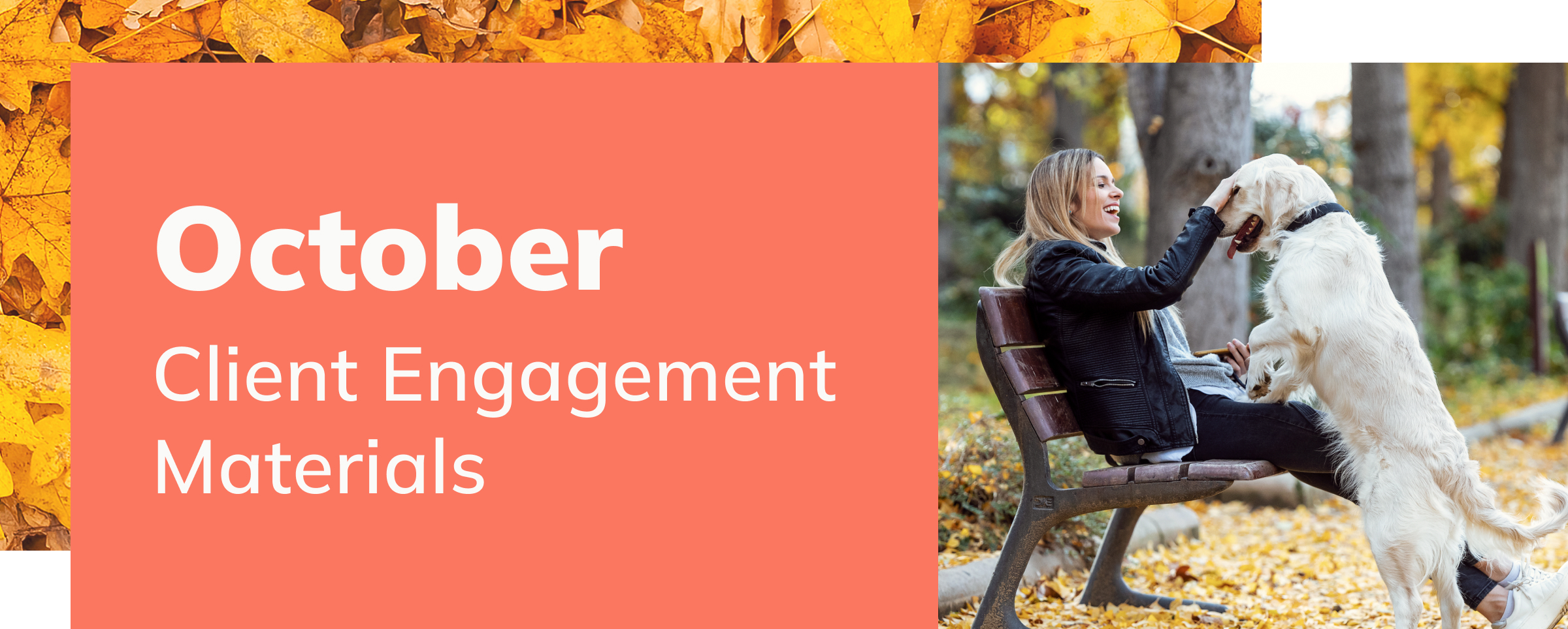 October Client Engagement Preview – Companion