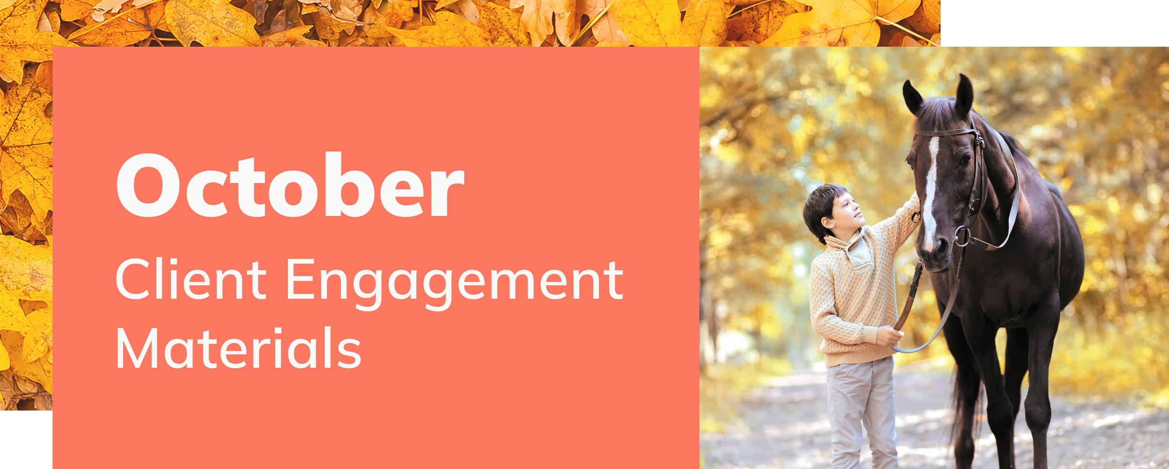 October Client Engagement Preview – Equine